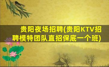 贵阳夜场招聘(贵阳KTV招聘模特团队直招保底一个班)